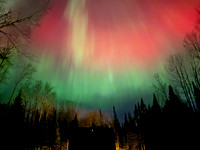 Pennington 2025 - Northern lights